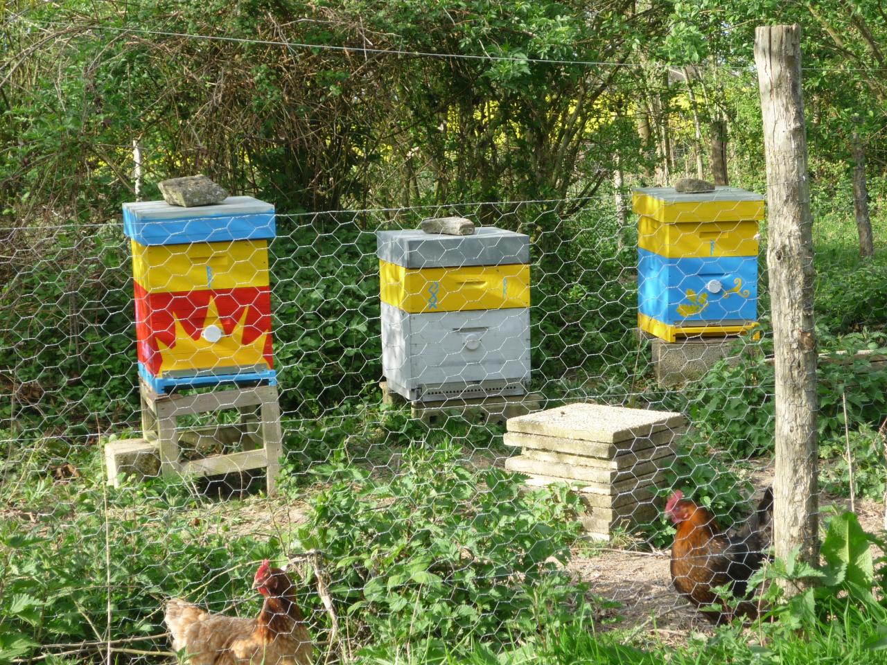 Les ruches en couleur